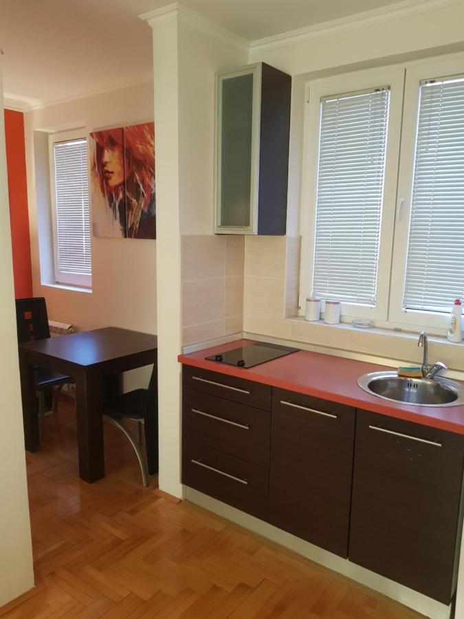 Rajiceva 5- Apartman Sa Prostranom Terasom I Garaznim Mestom Kragujevac Exteriör bild